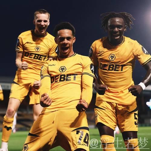 西汉姆联挥霍多次良机 狼队主场全取三分